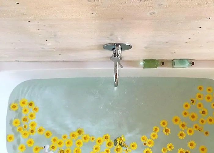 Bed & Breakfast Il Lupo Rosso